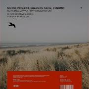 Noiyse Project Running Mavka