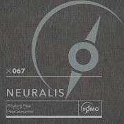 Peak Screamer Original Mix Neuralis