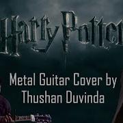 Harry Potter Theme Music John Williams Hedwig S Theme Metal Cover