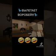 Вылетает Воробей