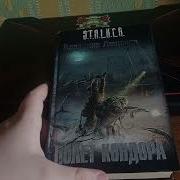Аудиокнига Полет Кондора Сталкер