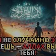 Милости Аллаха