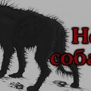 Не Собака Страшные Истории