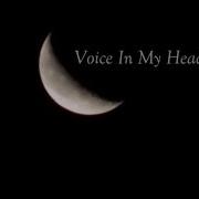 Voice In My Head Feat Dave Eggar Amy Lee
