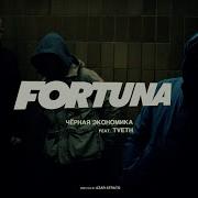 Fortuna Черная Экономика Tveth