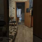 Гуси Гуси Прикол