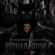 Владимир Курский Звезды Синий