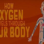 Iv Oxygen