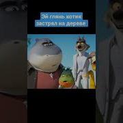 Эй Глянь Котик Застрял На Дереве