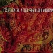 Between The Buried And Me Fossil Genera A Feed From Cloud Mountain