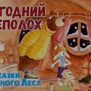 Сказки Волшебного Леса