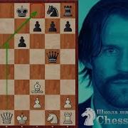 Формула Победы В Шахматах От Джейсона Стейтема Револьвер