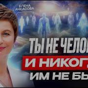 Из Плега Иллюзий