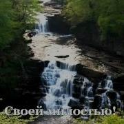 Шейх Хатим Фарид Сердечное Дуа Hd