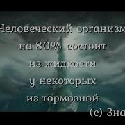 Warcraft 3 Смешные Фразы