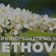 Бетховен Весенняя Соната