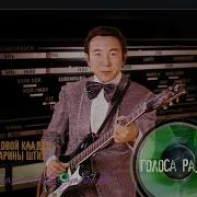 Терри Тераучи Terry Terauchi Осень Японская Инструментальная Музыка Зап 80 Х Гг