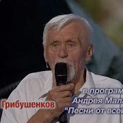 Седые Мужчины Песня