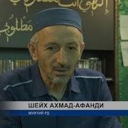 Встреча Муфтия Рд С Представителями Дагестанских Диаспор Отдаленных