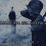 Рамзан Абумуслимов Ас Кхи Еза Бохур Дац