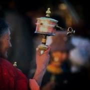 Lama Cheno
