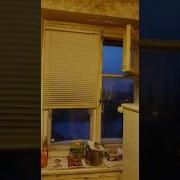 Дизайн Анекдот Чойхона