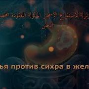 Рукия От Сихра В Желудке