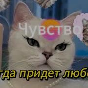 Из Тиктока Как То Подсознательно Я Не Приняла Что Мы Расстались