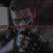 Snake Are You Okay Fukkit
