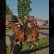 Яхана Зама Дагалоцуш Некъ Бо Дошлоша