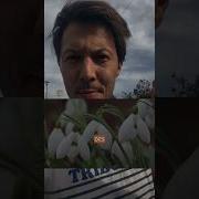 Litchee Fleur De Neige