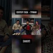 Туман В Новом Звучание