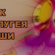Поехавшие Попугай Rytp