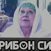 Шердил Модар Гариби