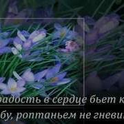 Красивая Музыка И Цветы Для Моих Друзей