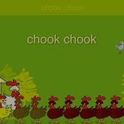 Chook Chook