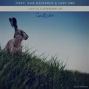 Countless Hours Fishy Dan Guidance