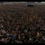 Stupify Live Disturbed