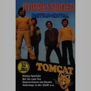 Tomcat Gedanke