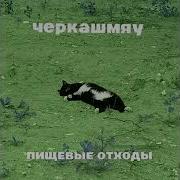 Пищевые Отходы Альбомы