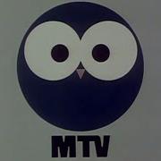 Mtv 1975 2004