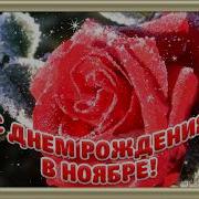 С Днем Рождения В Ноябре Красивое Видео Поздравление