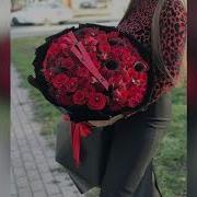 Малик Тухигов Сан Ирса Дакъа