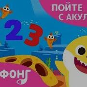 Акулёнок 123