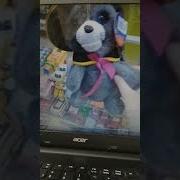 Поющая Игркшка Киска Бусинка