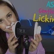 Asmr Gentle Rabbit Licking Ear Нежный Кролик Лижет Ушки Asmr Honeygirl
