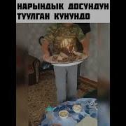 Прикол Нарындык