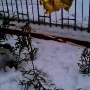 Хуй Вам А Не Каноэ