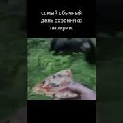 Эу Эу Эу Медведь