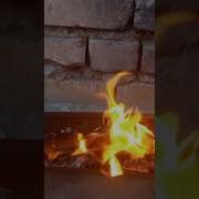 Добрый Вечер Тик Ток
